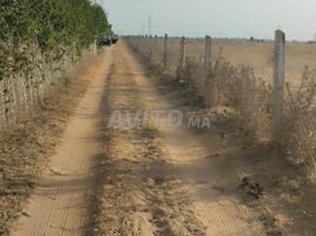 Propriété vente à El Ma, Gharb-Chrarda-Beni Hssen