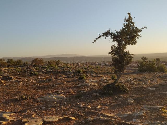 Terrain vente à Essaouira
