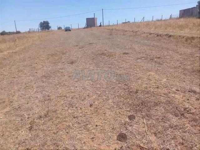 Propriété vente à Berkane