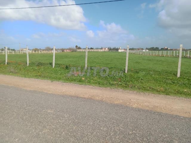 Propriété vente à Slimane, Gharb-Chrarda-Beni Hssen