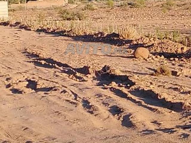 Propriété vente à Anfa, Sidi Belyout
