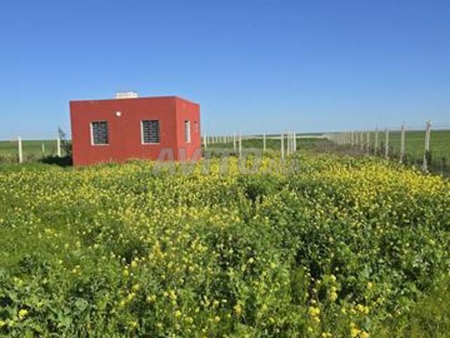 Propriété vente à Settat, Gharb-Chrarda-Beni Hssen