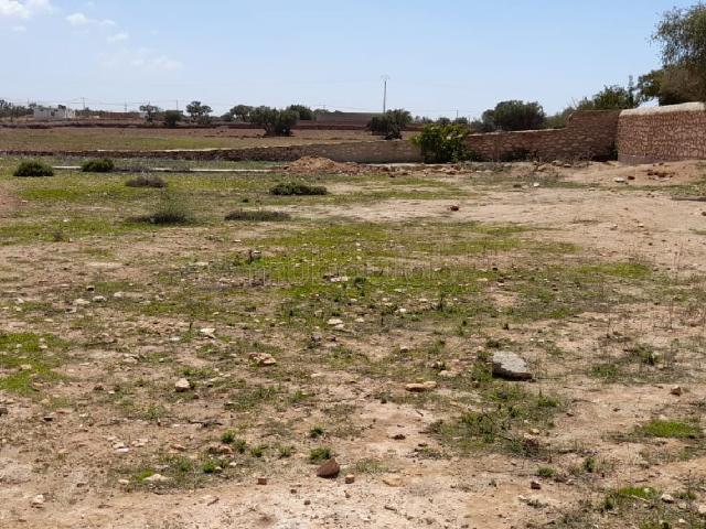 Terrain vente à Essaouira, L'Oriental