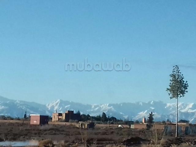 Terrain vente à Marrakech, L'Oriental