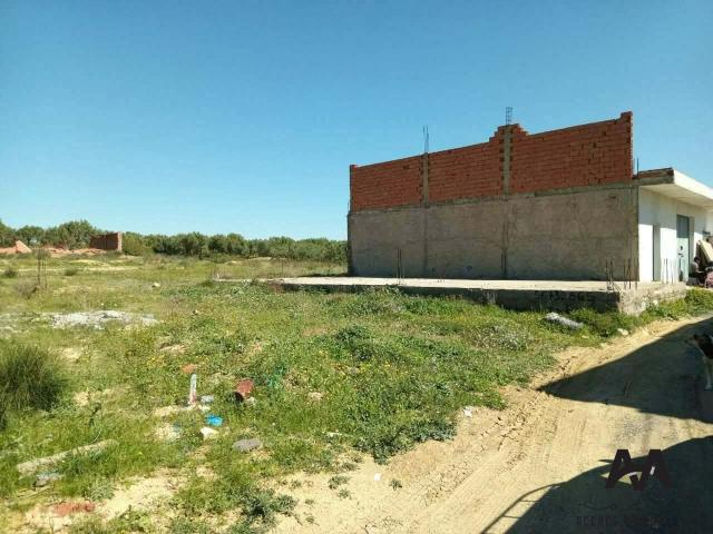 Terrain vente à نابل, معتمدية نابل