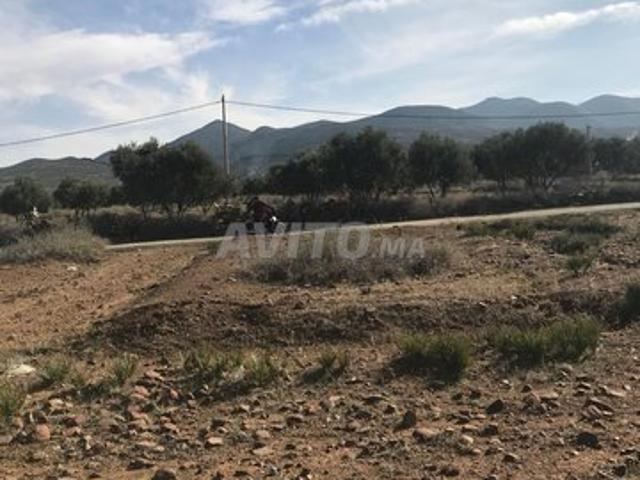 Propriété vente à Al Haouz, L'Oriental