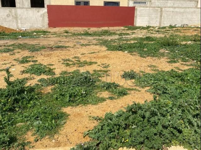 Terrain vente à Sidi Allal El Bahraoui