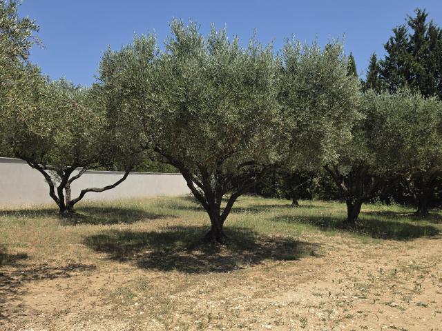 Terrain vente à Uzès, Gard