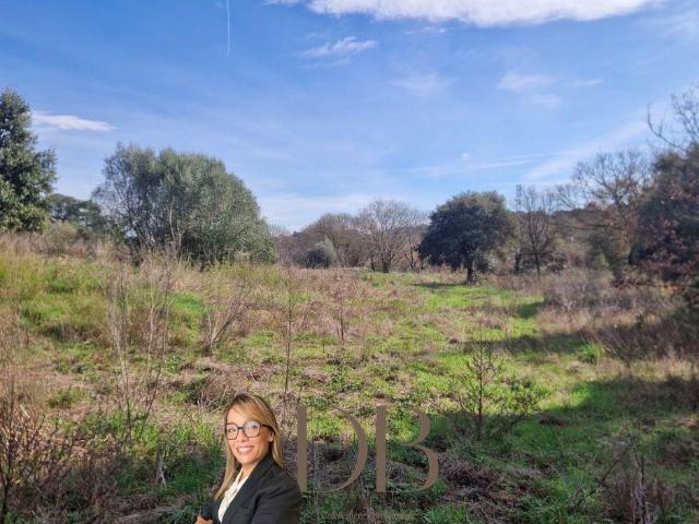 Terrain vente à Montpellier, Murviel-lès-montpellier