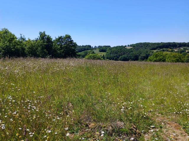 Terrain vente à Périgueux, Saint-astier