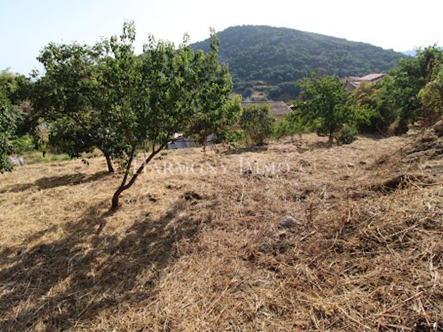Terrain vente à Ajaccio, Pila-canale