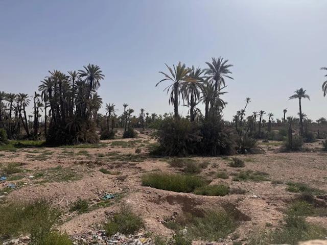Terrain vente à Marrakech, L'Oriental
