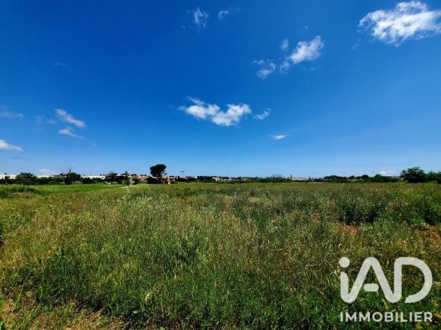 Terrain vente à Montpellier, Marseillan