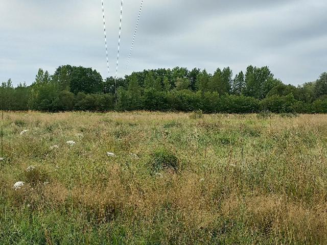 Terrain vente à Périgueux, Ménesplet