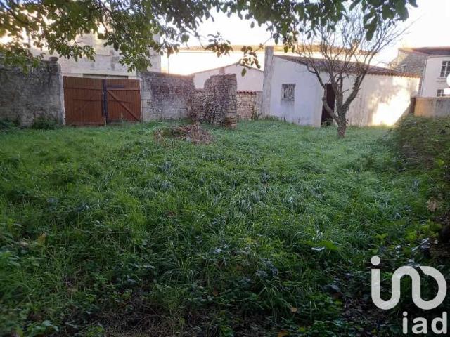 Terrain vente à France métropolitaine, Saujon