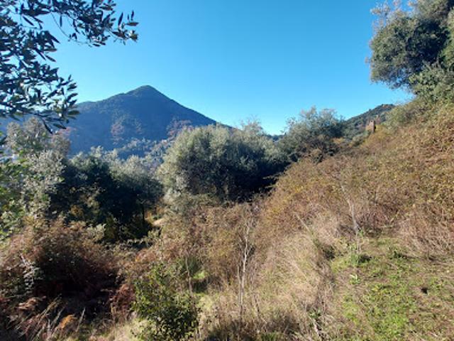 Terrain vente à Ajaccio, Vico