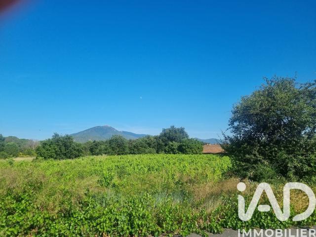 Terrain vente à Céret, Saint-jean-pla-de-corts