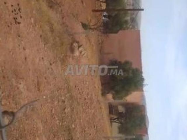 Propriété vente à Anfa, Gharb-Chrarda-Beni Hssen