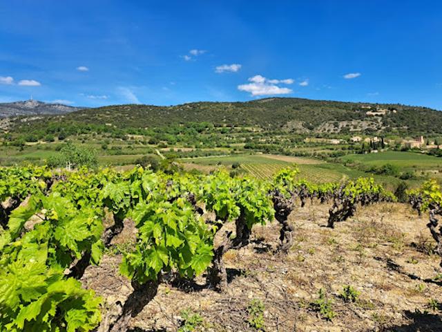 Terrain vente à Lodève, Occitanie