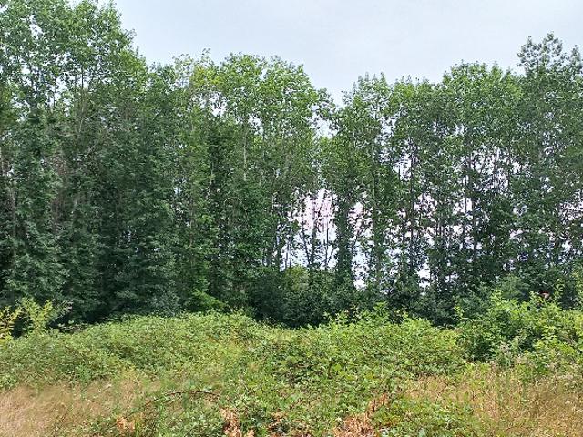 Terrain vente à Périgueux, Ménesplet