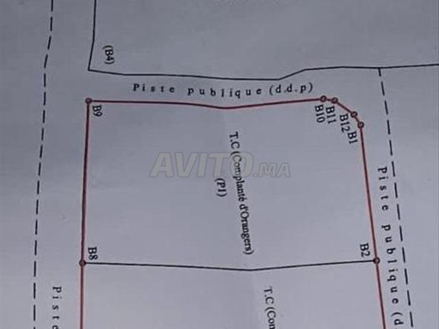 Propriété vente à Agadir, Oued ed Dahab-Lagouira