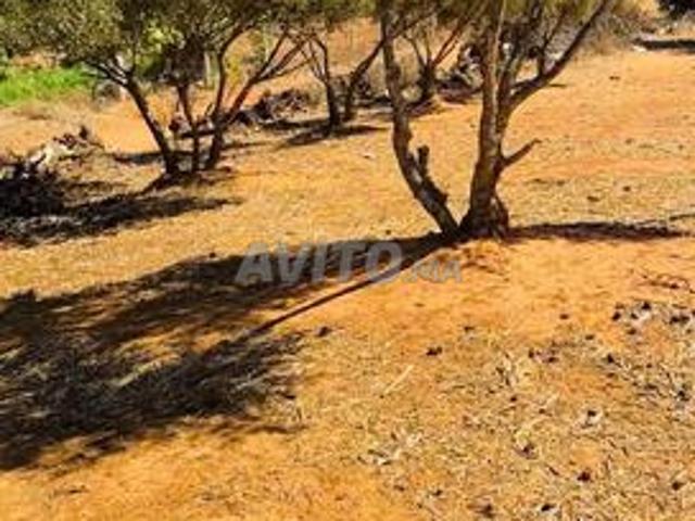 Propriété vente à Sidi Allal El Bahraoui