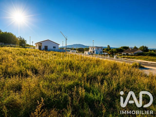 Terrain vente à Céret, Banyuls-dels-aspres