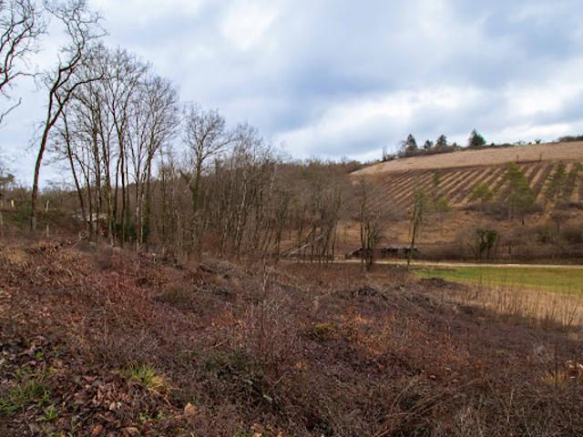 Terrain vente à Périgueux, Trélissac