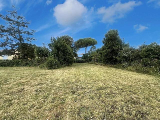 Terrain vente à Saint-georges-de-didonne, Didonne