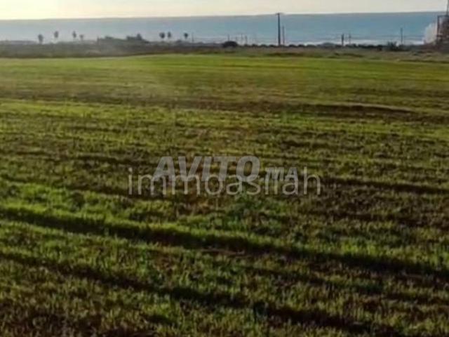 Propriété vente à Assilah, Tanger-Tétouan