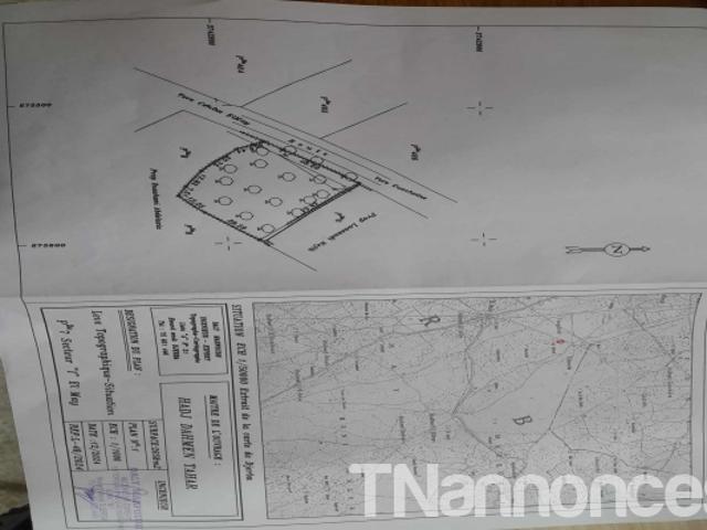 Terrain location