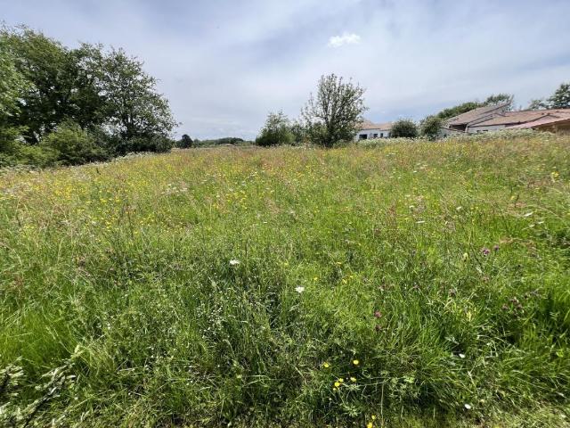 Terrain vente à France métropolitaine, Vertou