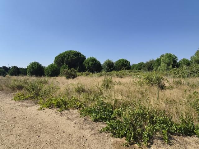 Terrain vente à Céret, Latour-bas-elne