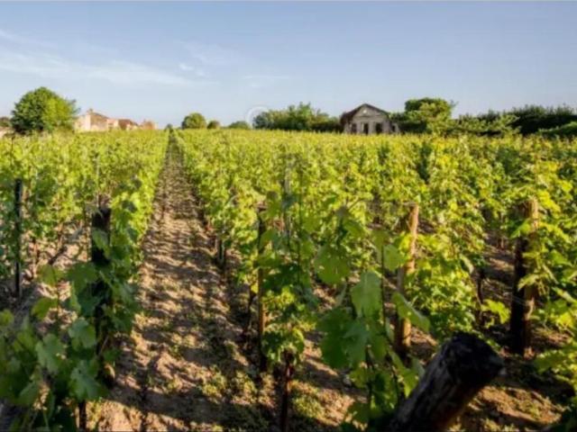 Terrain vente à Libourne, Saint-sulpice-de-faleyrens