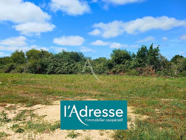 Terrain vente à Les Sables-d'Olonne, Sallertaine
