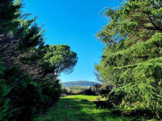 Terrain vente à Lodève, Ceyras