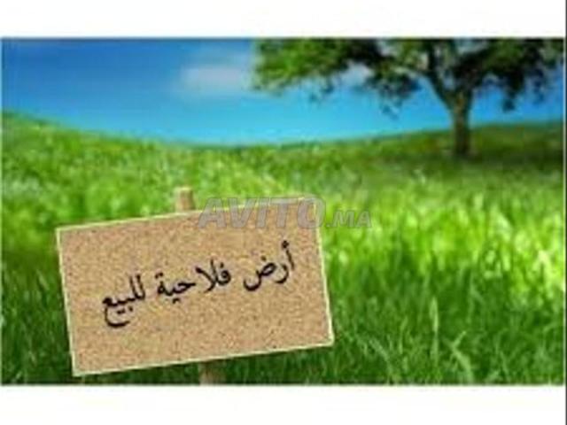 Propriété vente à Mohammedia, Gharb-Chrarda-Beni Hssen