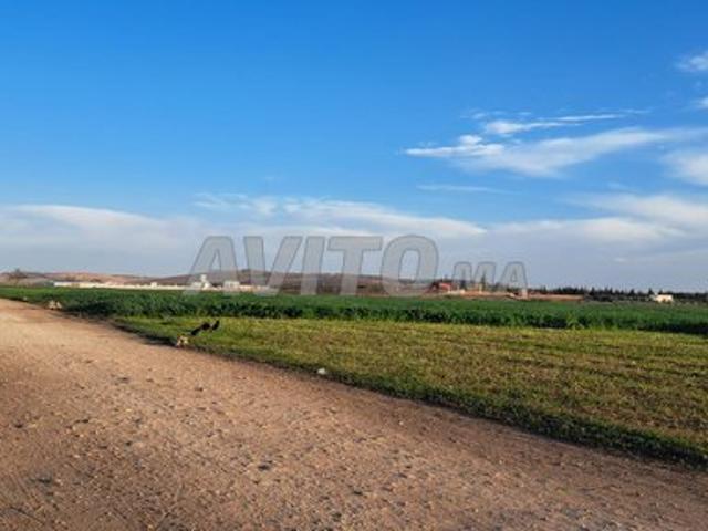 Propriété vente à Bouskoura, Gharb-Chrarda-Beni Hssen