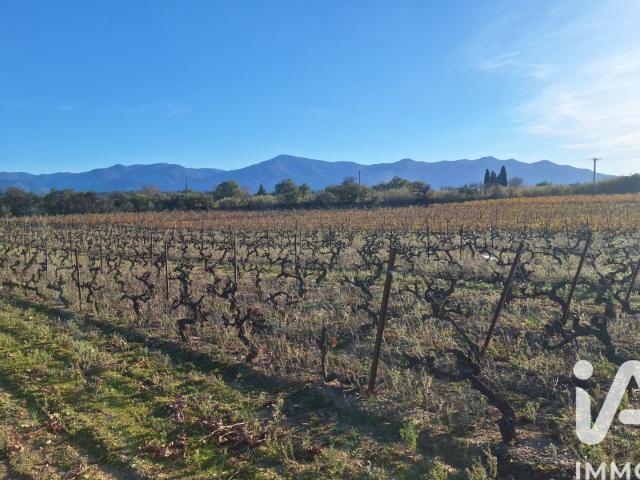 Terrain vente à Céret, Bages