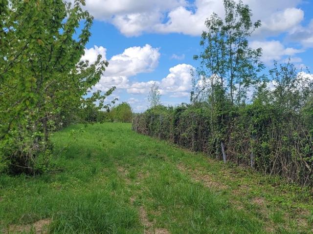 Terrain vente à Saint-Jean-d'Angély, Doeuil-sur-le-mignon