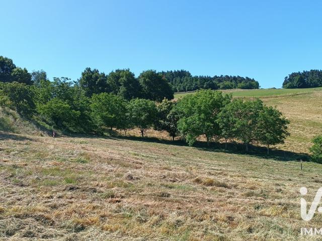 Terrain vente à Yssingeaux, Beauzac