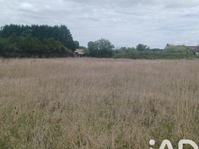 Terrain vente à Jonzac, Belluire