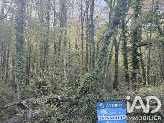 Terrain vente à Perreux, Charny Orée de Puisaye