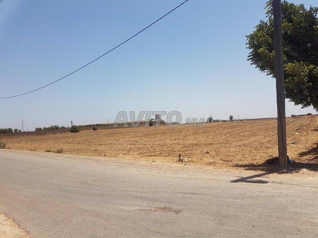 Propriété vente à Mediouna, Gharb-Chrarda-Beni Hssen