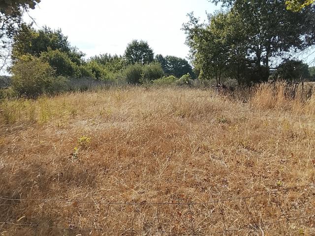Terrain vente à Angers, Soulaines-sur-aubance