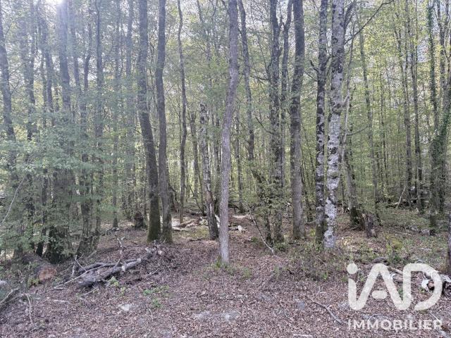 Terrain vente à Perreux, Charny Orée de Puisaye