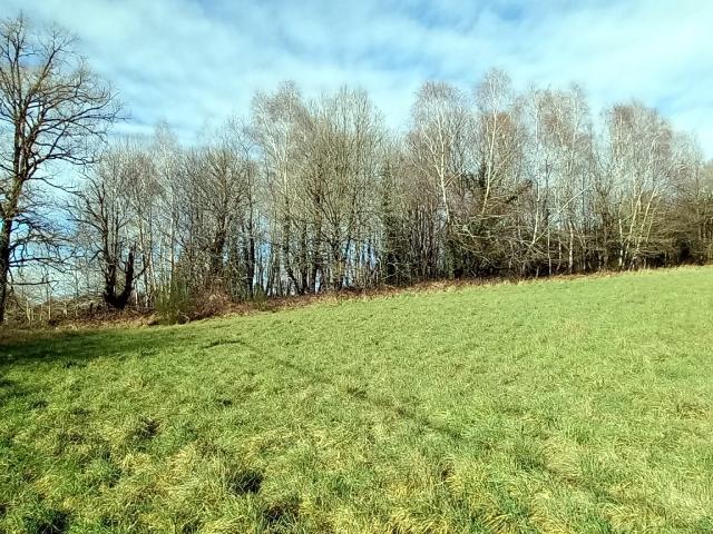 Terrain vente à Limoges, Saint-yrieix-la-perche