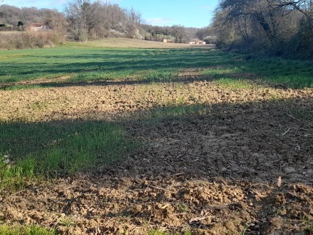Terrain vente à Pont-du-casse, Résidence Les Érables