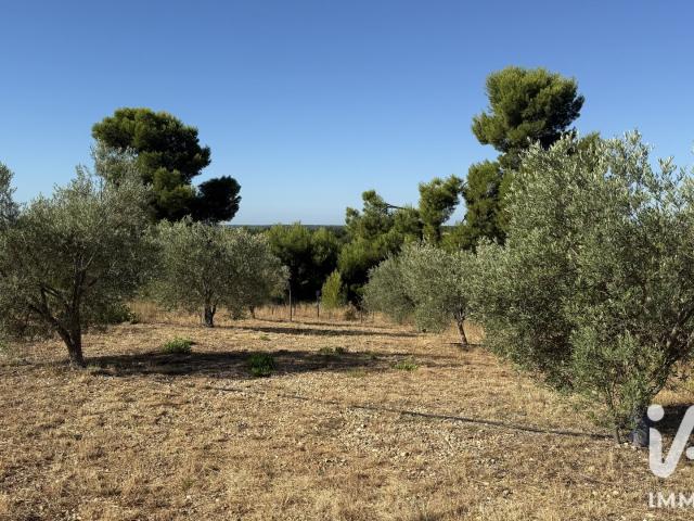 Terrain vente à Paulhan, Hérault
