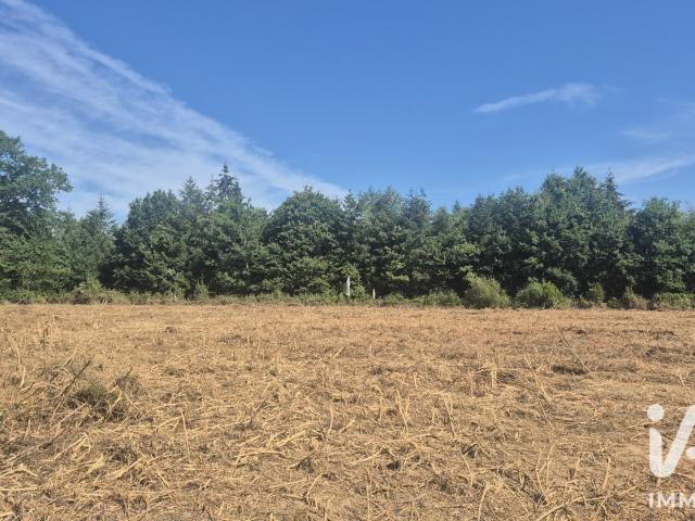 Terrain vente à Pérachaud, Royères